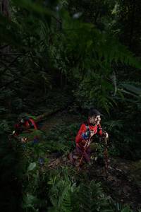 BIB: 
                            <button type="button" onclick="openModal(16029813)" class="btn btn-primary btn-sm float-right btn-popup" data-toggle="modal" data-target=".modal-high-quality">
                        <i class="fas fa-shopping-cart"></i> Add to Cart
                    </button>
                                            <button type="button" onclick="isThisMe(16029813, true)" class="btn btn-success btn-sm float-right btn-popup btn-isme hidden" data-toggle="tooltip" data-placement="bottom" title="นี่คือรูปของคุณใช่ไหม คลิกที่นี่เพื่อเอาเข้าอัลบั้ม">
                        <i class="fas fa-plus"></i> Add to album
                    </button>
                    <button type="button" onclick="isThisMe(16029813, false)" class="btn btn-warning btn-sm float-right btn-popup btn-isnotme hidden">
                        <i class="fas fa-ban"></i> Remove from album
                    </button>